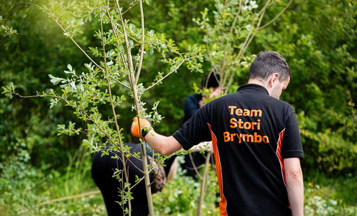 A man with his back to the camera wearing a tshirt with the words Team Stori Brymbo on the back. He is wearing work gloves and holding a tree branch w